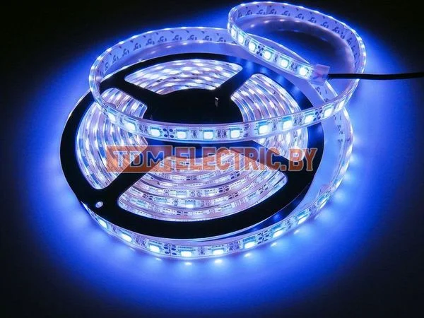 Лента светодиодная SMD5050-60-54-12-144-BL 60LED/м, IP54, 12В, 14,4Вт, синий, TDM-SQ0331-0070