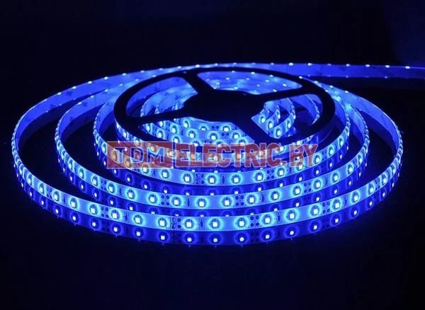 Лента светодиодная SMD5050-60-20-12-144-BL 60LED/м, IP20, 12В, 14,4Вт, синий, TDM-SQ0331-0074