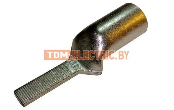 Наконечник НШМЛ 10-5,5х13 TDM-SQ0570-0009
