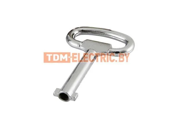 Ключ для замка SQ0825-0001 TDM-SQ0825-0006