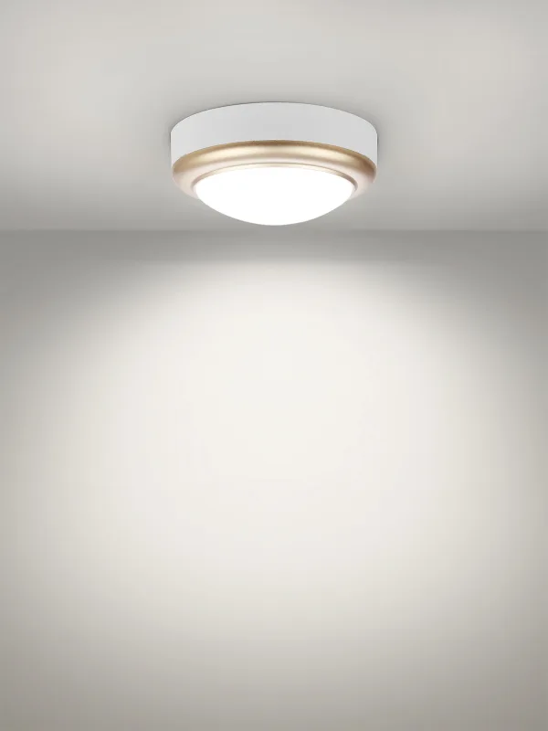 Светильник накладной LED ДПО «Антарес» 8Вт 6500К круг 140*58 мм мат.золото IP54 TDM — изображение 7