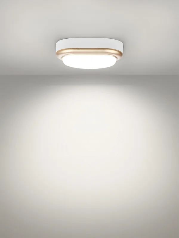 Светильник накладной LED ДПО «Антарес» 8Вт 6500К овал 168*100*58 мм мат.золото IP54 TDM — изображение 7