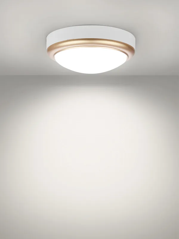 Светильник накладной LED ДПО «Антарес» 15Вт 6500К круг 180*66 мм мат.золото IP54 TDM — изображение 7