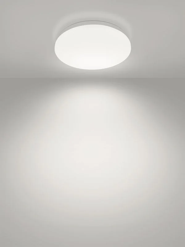 Светильник LED потолочный ДПБ 01, 24 Вт, 4000 К, Классика, TDM