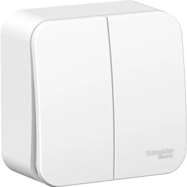 Выключатель 2-кл. ОП Blanca 10А IP20 (сх. 5) 250В с подсветкой с изолир. пластиной бел. SE BLNVA1051-BLNVA105111