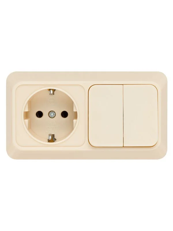 Блок комбинированный выкл. 2-кл. 10А + розетка 2П+З 16А 250В БКВР IP20 сл. кость «Ладога» TDM