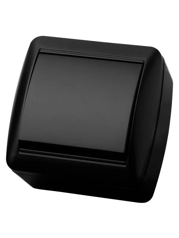 Выключатель 1-кл. открытой установки IP44 10А графит «Селигер» TDM