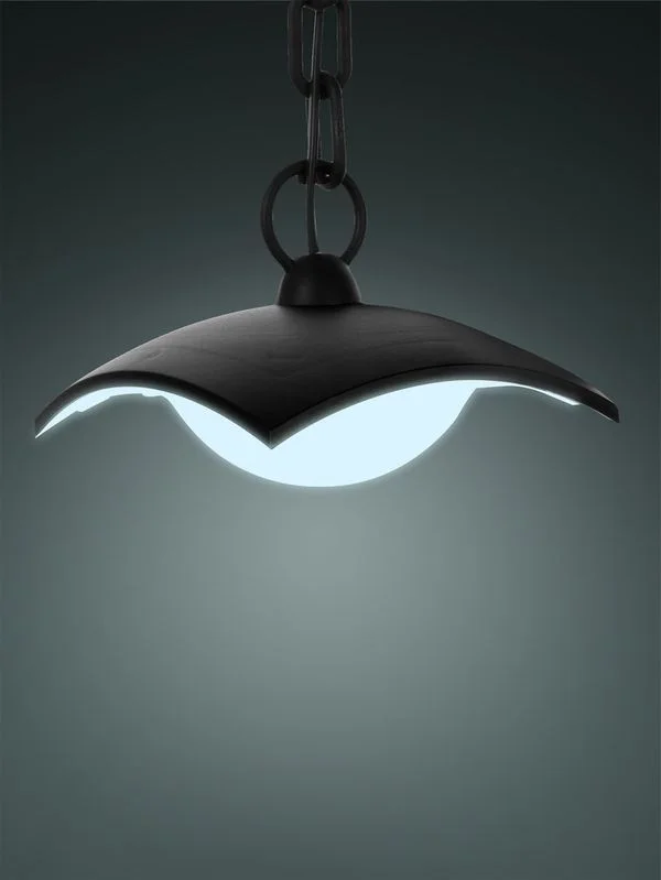 Светильник садово-парковый LED «СИТИ» ДСУ 07-08-001 У1 8 Вт 230 В 6500 К подвесной черный TDM — изображение 2
