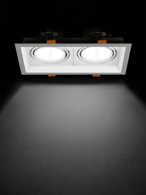 Светильник встраиваемый карданный «Фокус-1» LED CSL-01-2×11-NW 22 Вт, 35°, 4000 К, 80 Ra, IP20, TDM
