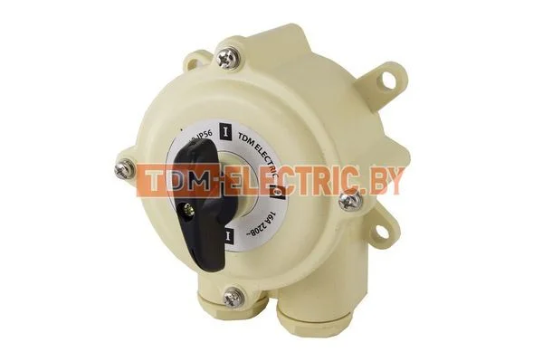 Пакетный выключатель ПВ2-40 2П 40А 220В IP56 TDM SQ0723-0014