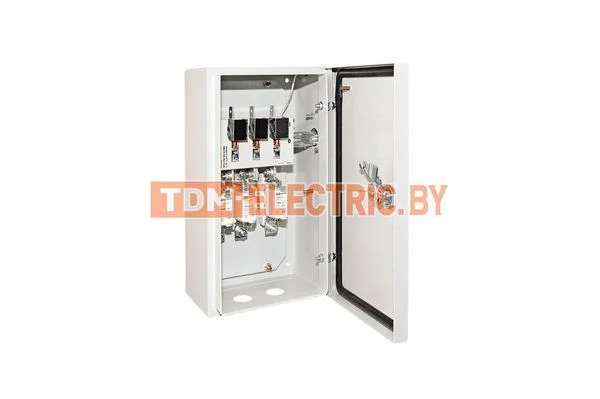Ящик с рубильником и предохранителями ЯРП-100А IP54 (с ППНН) TDM SQ1602-0001